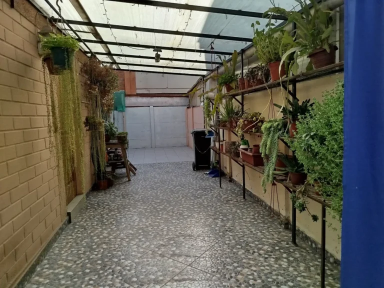 2_IMG_20250723_114227